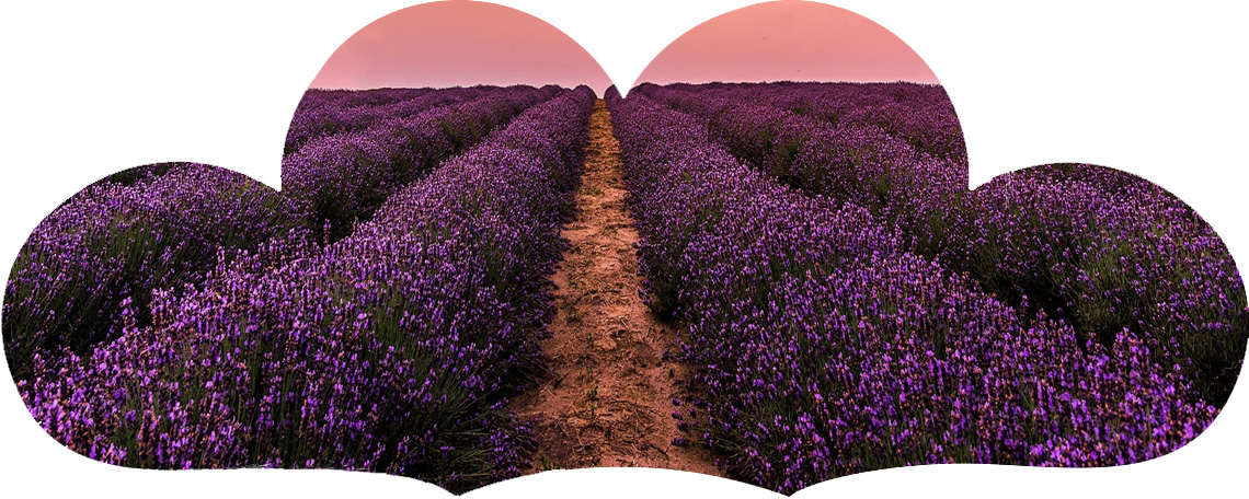 一个时尚现代的办公环境