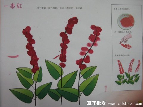 一串红简笔画