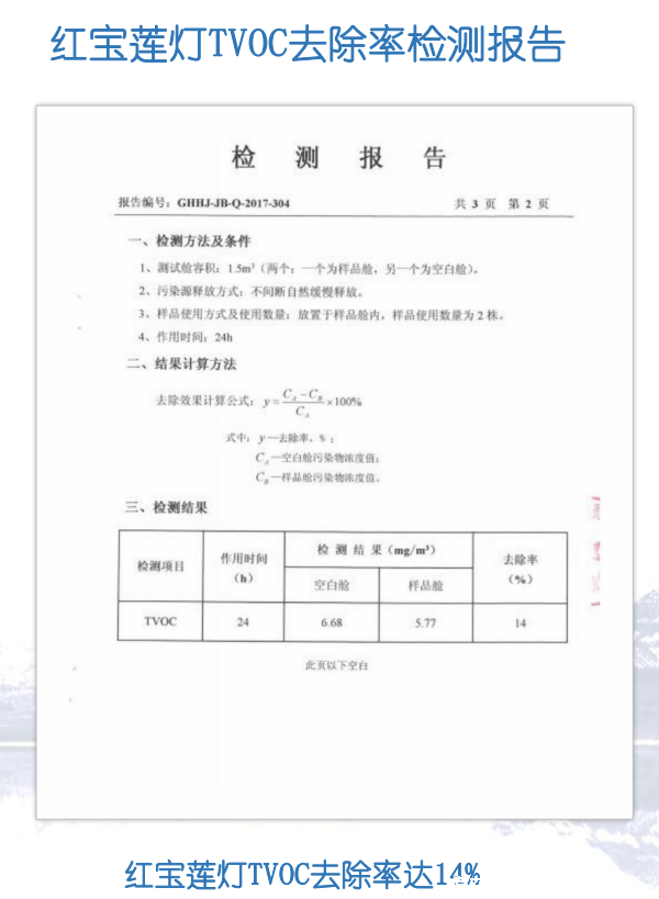 宝莲灯花(图14) 宝莲灯花tvoc去除率检测报告图片