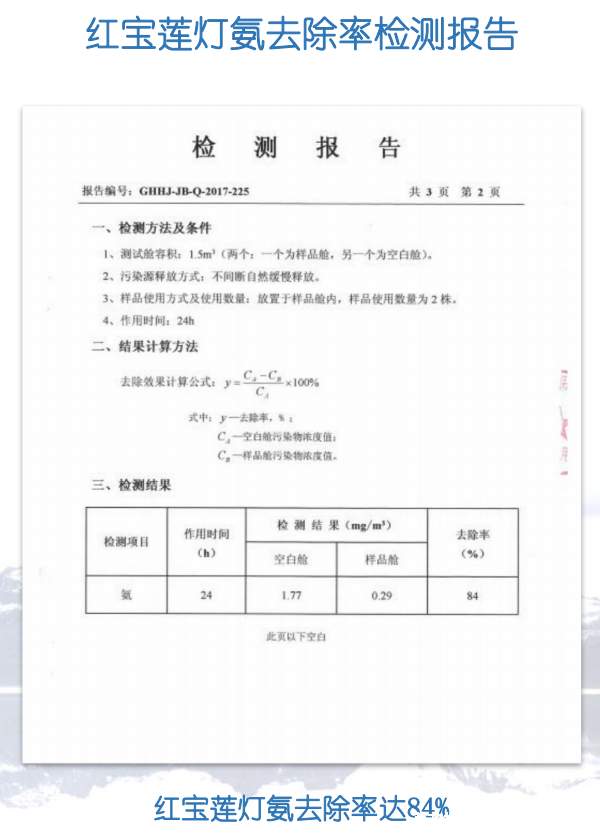 宝莲灯花(图15) 宝莲灯花氨去除率检测报告图片
