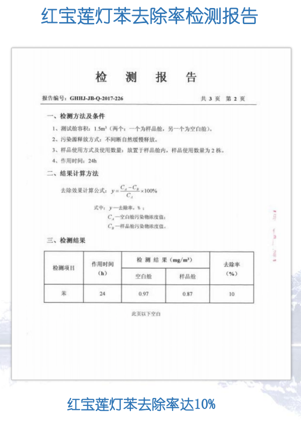 宝莲灯花(图16) 宝莲灯花笨去除率检测报告图片