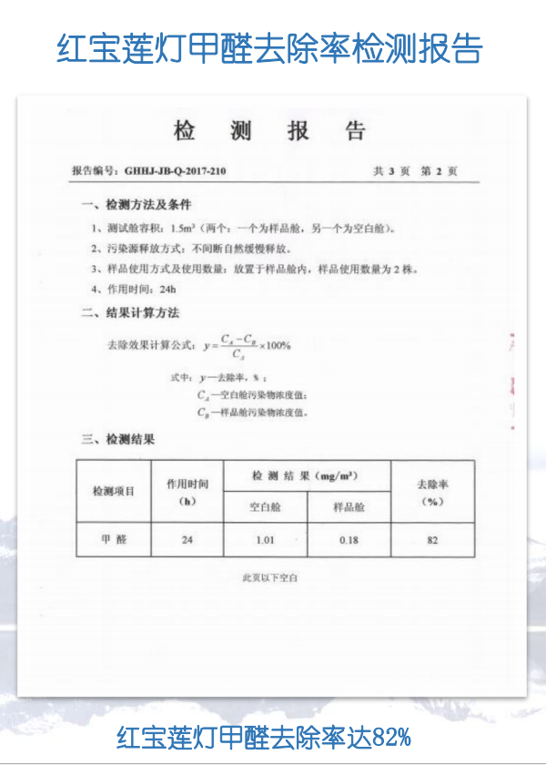 宝莲灯花(图17) 宝莲灯花甲醛去除率检测报告图片